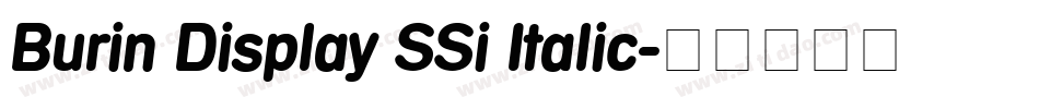 Burin Display SSi Italic字体转换